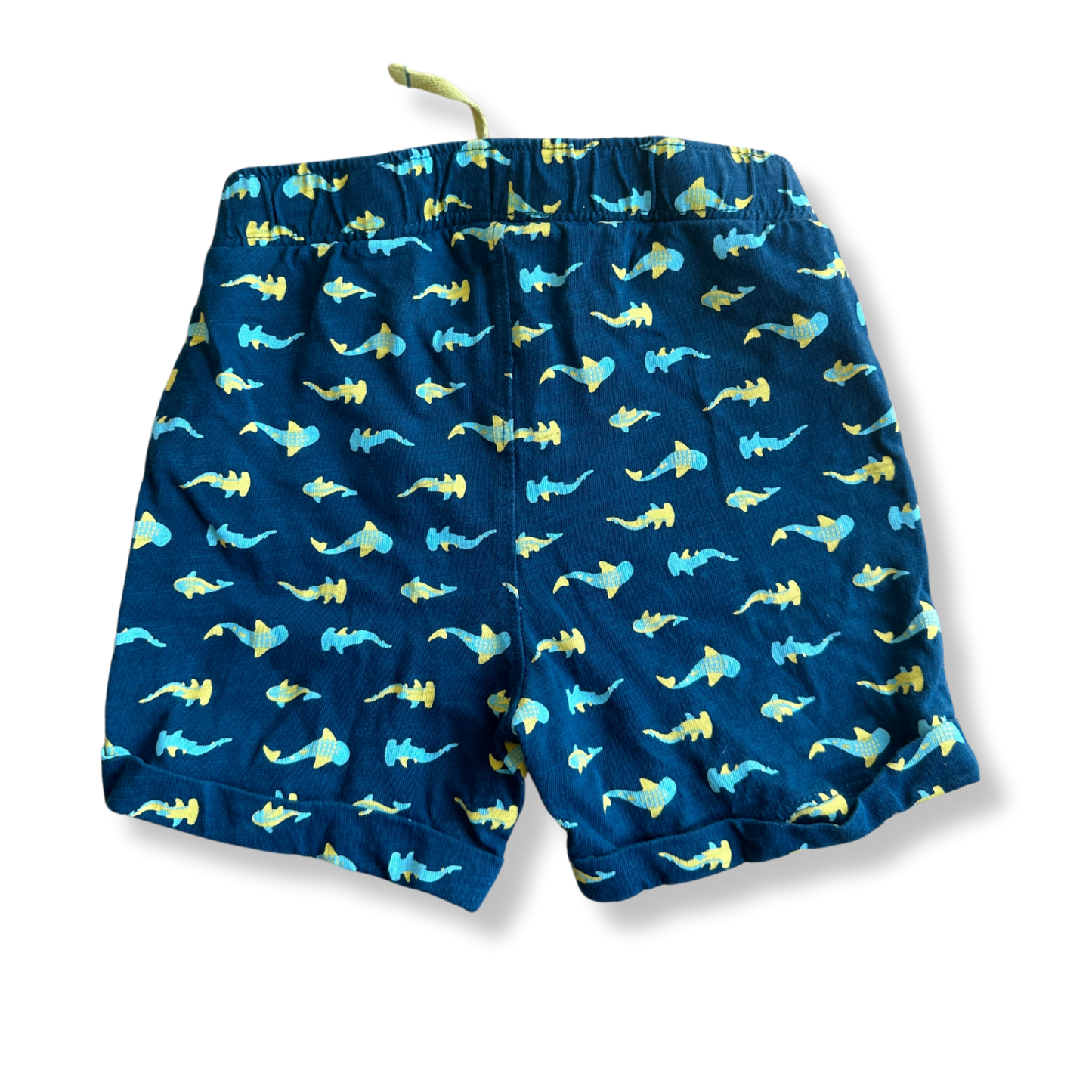 T.86 - Short Requins