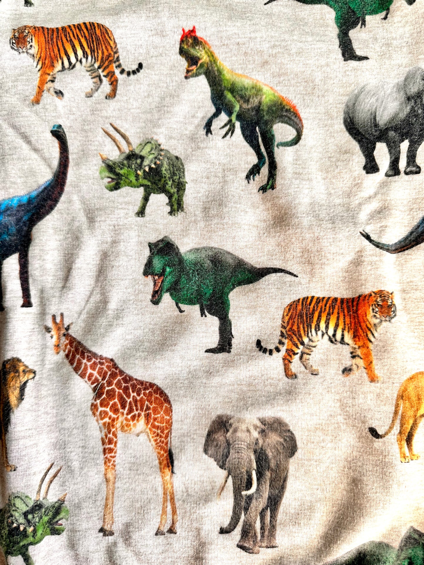 T.134 - Sweatshirt Animaux