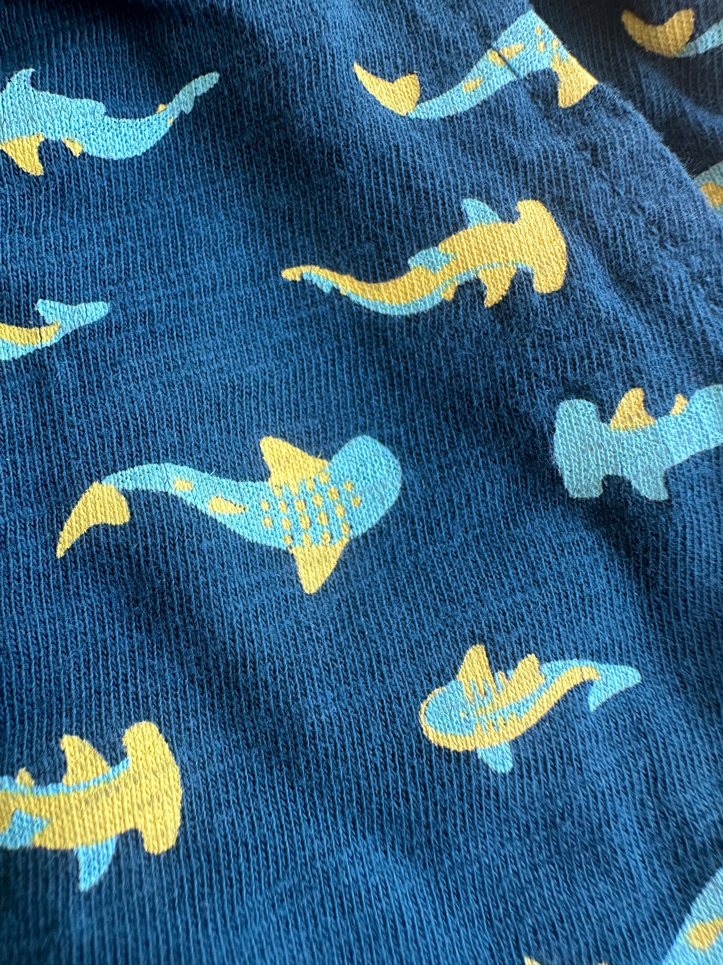 T.86 - Short Requins